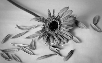 Back I go. Week 2 of therapy.