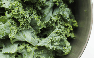 Crispy kale chips and an easy kale salad