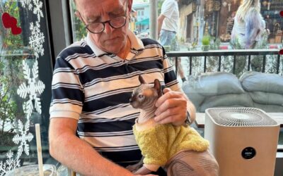 The Grief Diaries – Part 1. The day before…