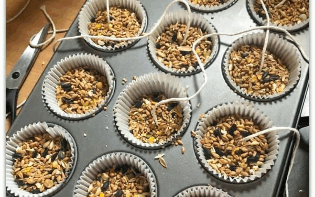 Quick and easy birdseed feeder cakes for your garden birds
