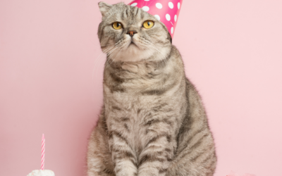 Why people with ADHD might struggle with celebrating their own birthdays (2)