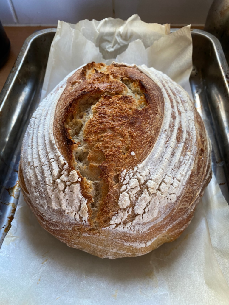 sour dough starter