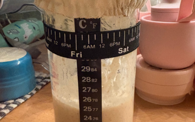 How to make a sour dough starter
