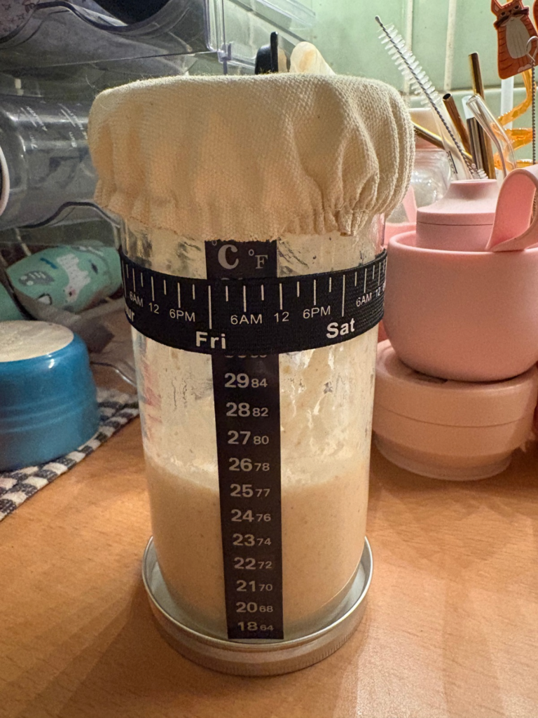 sour dough starter